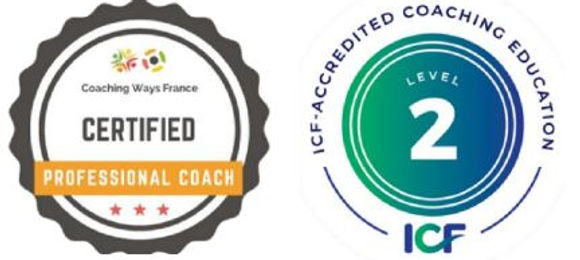 Professional coaching certification